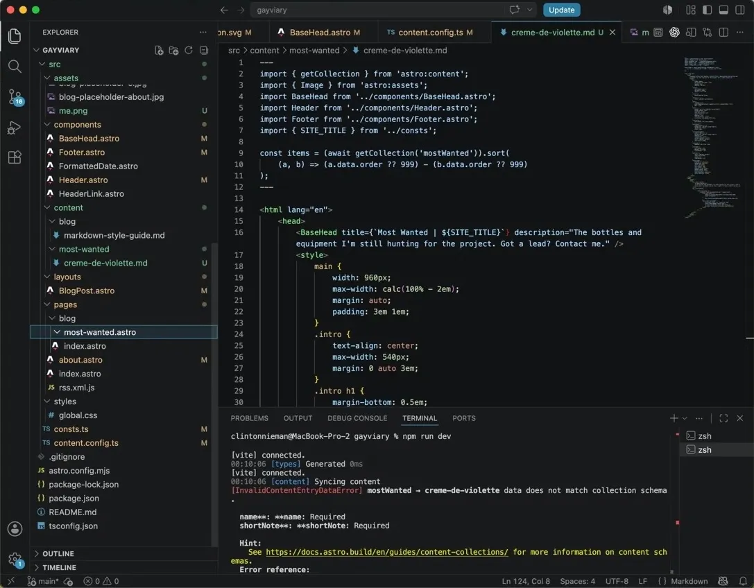 VS Code open to the Gayviary Astro project, with a content schema error in the terminal